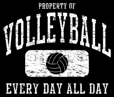 Volleyball stock property charcoal